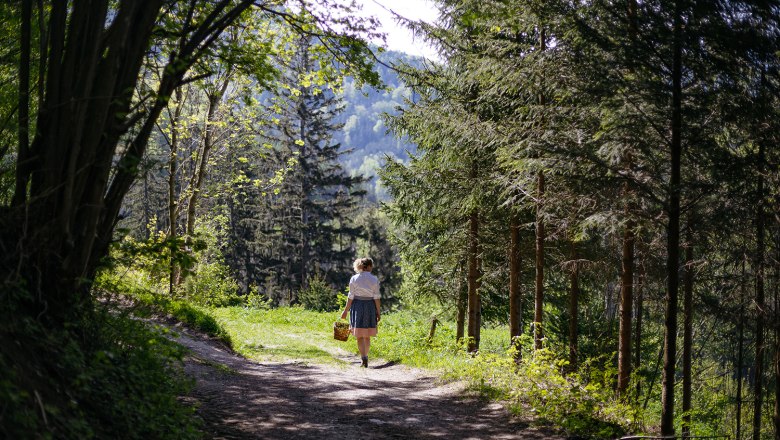 Die Wirtin sammelt auch Wildkräuter, © Niederösterreich Werbung/Mara Hohla