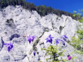 Naturpark Ötscher-Tormäuer, © Mostviertel