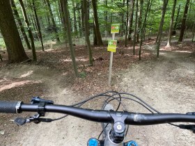 Elsbeere Singletrail, © MTB-Initiative St.Pölten