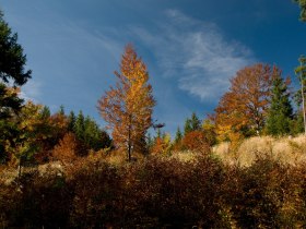 Höhenrückenweg, © Mostviertel