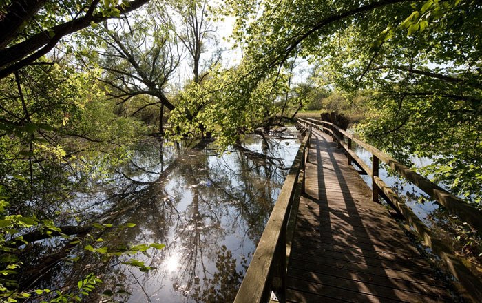 Naturlehrpfad Feldmühle, © Werner Jäger