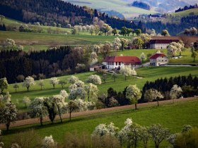 Fotopunkt Karl Lammerhuber Blick, © schwarz-koenig.at