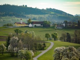 Fotopunkt Karl Lammerhuber Blick Südosten, © schwarz-koenig.at