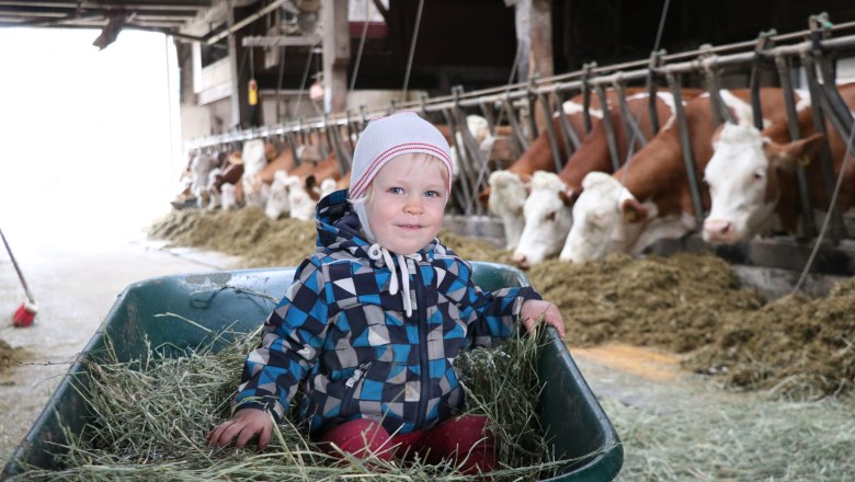 Freude bei der Stallarbeit, © Fam. Büchinger