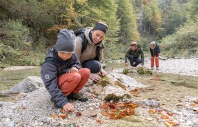 Familienwanderung im Naturpark Ötscher-Tormäuer, © Josef Wittibschlager