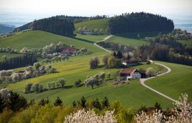 Fotopunkt Voralpenkreuz, © schwarz-koenig.at