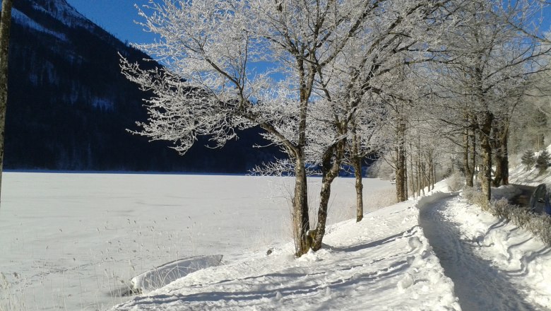 Lunz am See, © Fam. Mayr