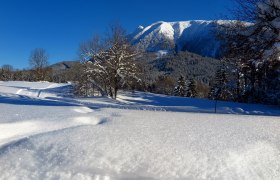 Mandlboden-Loipe, © Gerhard Pechhacker