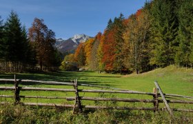 Blick zum Forsthaus, © Mostviertel