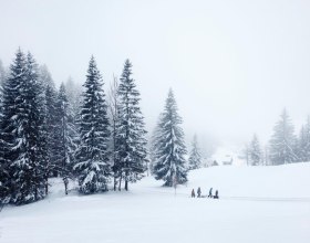 Wandern im Winter im Mostviertel, © NÖW, Gerhard Schmolke