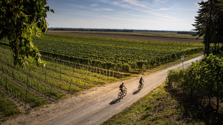 Radfahren im Weinland Traisental, © Mostviertel Tourismus / schwarz-koenig.at