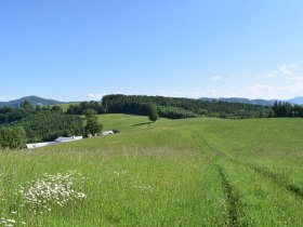 Michelbacher Elsbeerweg, © Mostviertel Tourismus/@Refugium Hochstraß