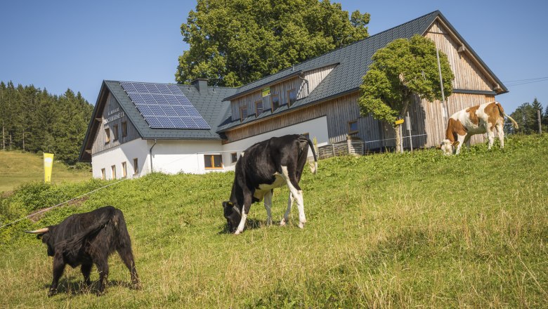 Almhaus Hochbärneck, © Theo Kust