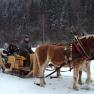 Schlittenfahrt im Winter, © Familie Gasteiner