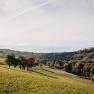 Waldjuwel Mostviertel, © Sabine Wieser Fotografie