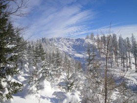 Muckenhöhe, © Mostviertel