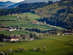 Fotopunkt Karl Lammerhuber Blick, © schwarz-koenig.at