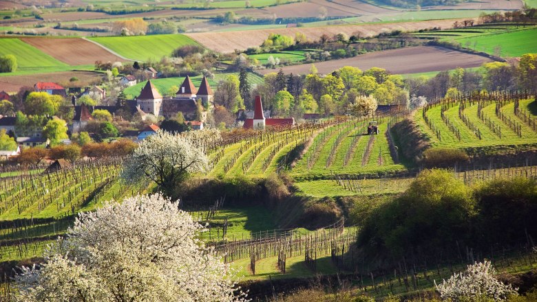 Theyerner Höhe, © zvg Gemeinde Inzersdorf-Getzersdorf