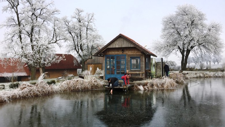 gestehof-hochetlinger_naturbiotop_winter, © Familie Hochetlinger