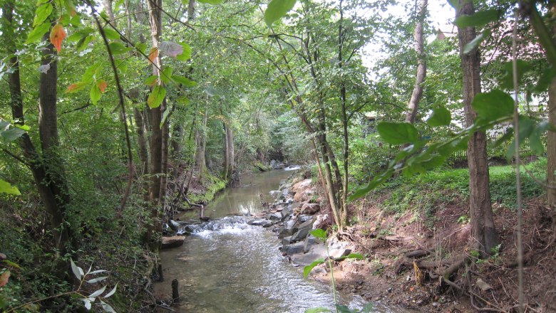 Natur pur am Feichsenbach, © KTech