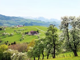 Blick von Ertl auf die Voralpen, © weinfranz.at