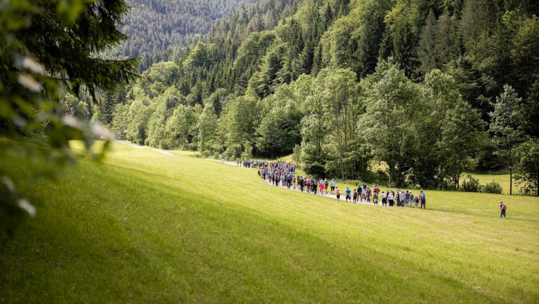 Musikbegeisterte wandern gemeinsam, © Fred Lindmoser