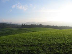 Blick Richtung Kukubauerhütte, © Mostviertel Tourismus/@Haus der Elsbeere