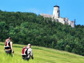 Weg zur Araburg, © Mostviertel Tourismus / schwarz-koenig.at