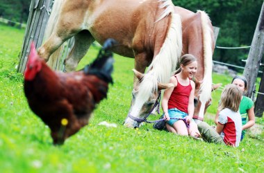 Having fun with horse and chicken, © weinfranz.at