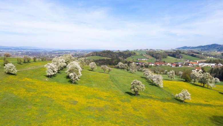 Fotopunkt Wachtberg Richtung St. Veit, © schwarz-koenig.at