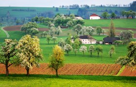 Ausblick auf die Moststraße, © weinfranz.at