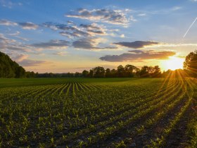 Besonders schön ist die Stimmung bei untergehender Sonne, © VSE, Haslinger Christina