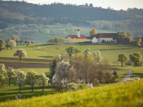 Fotopunkt Karl Lammerhuber Blick Südosten, © Mostviertel