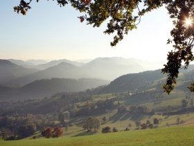 Am Panoramahöhenweg, © weinfranz.at