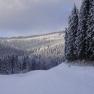 Hinter unserem Haus beginnt der Schneeschuhwanderweg Kesselgraben, © Familie Prem