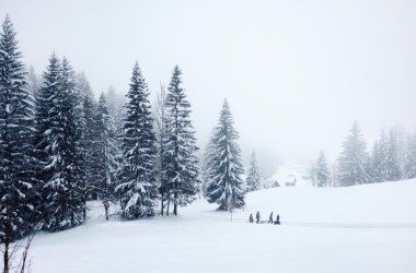 Wandern im Winter im Mostviertel, © NÖW, Gerhard Schmolke