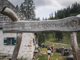Ostalpin-Trail Hochkar - Lackenhof, © (C) Gerald Demolsky