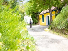 Radfahren entlang der Kellergassen, © Donau Niederösterreich - Kamptal-Wagram-Tullner Donauraum