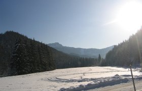 KERNHOFERLOIPEN 3 - 3/3 Gippelloipe, © Nordisches Zentrum St. Aegyd