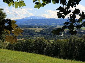 Blick zum Ötscher vom Burgstaller Kogel, © OEAV Ortsgruppe Blindenmarkt