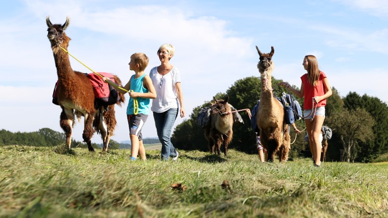 Lamawanderland, © schwarz-koenig.at