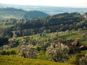 Fotopunkt Sanfte Hügel, © schwarz-koenig.at