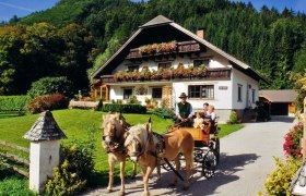 Landhaus Gasteiner, © Familie Gasteiner