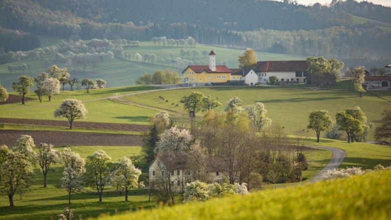 Fotopunkt Karl Lammerhuber Blick Südosten, © schwarz-koenig.at