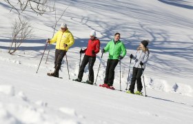 Schneeschuhwandern in Lackenhof, © schwarz-koenig.at