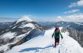 Snowshoeing in the Mostviertel mountains, © jürgenthoma.com