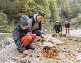 Familienwanderung im Naturpark Ötscher-Tormäuer, © Josef Wittibschlager