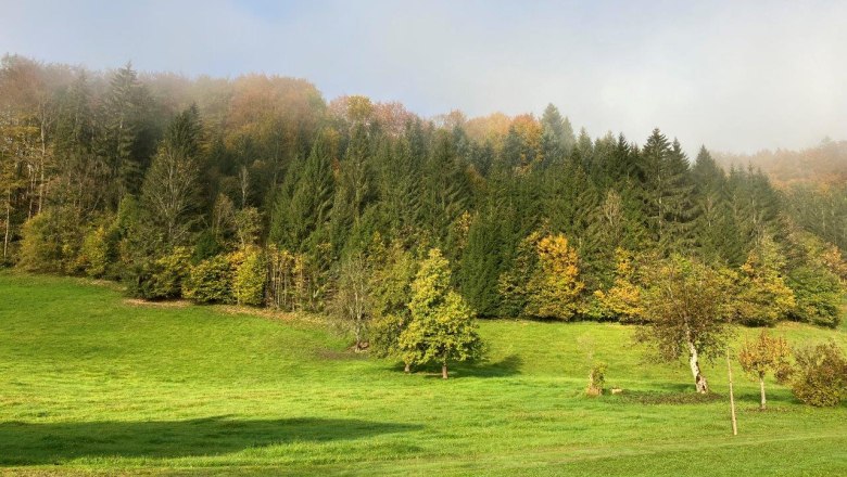 weitlaeufiger-garten-vor-dem-ferienhaus, © Ferienhof Kirchau