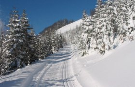 Langlaufen in Puchenstuben, © Gemeinde Puchenstuben