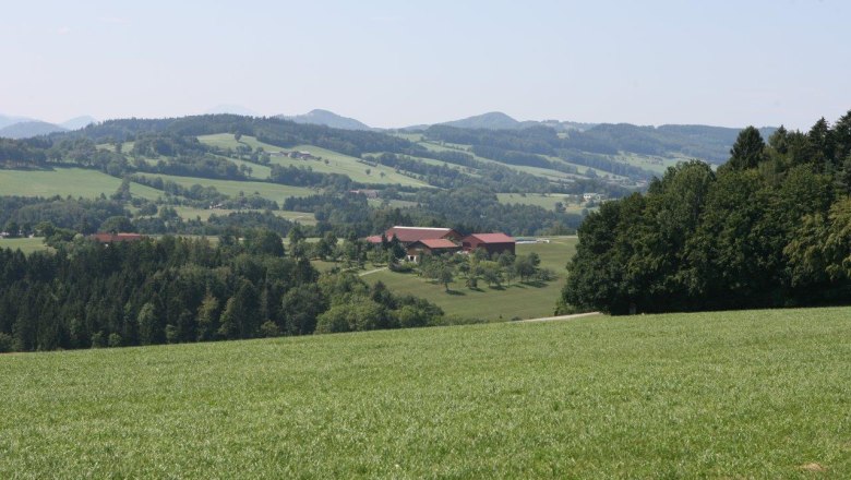 Aussichtsplatz beim Dörrhaus, © Marktgemeinde Hofstetten-Grünau